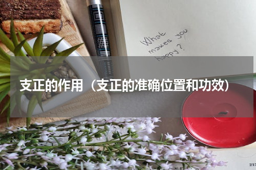 支正的作用（支正的准确位置和功效）