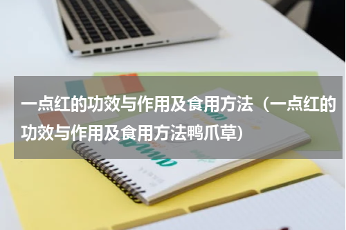 一点红的功效与作用及食用方法（一点红的功效与作用及食用方法鸭爪草）