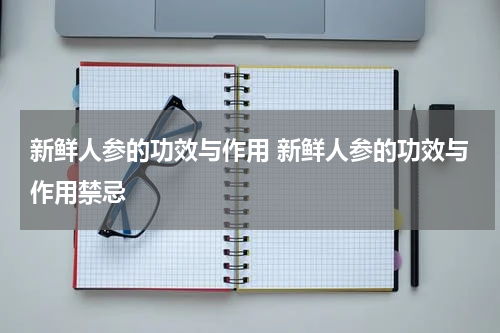 新鲜人参的功效与作用 新鲜人参的功效与作用禁忌