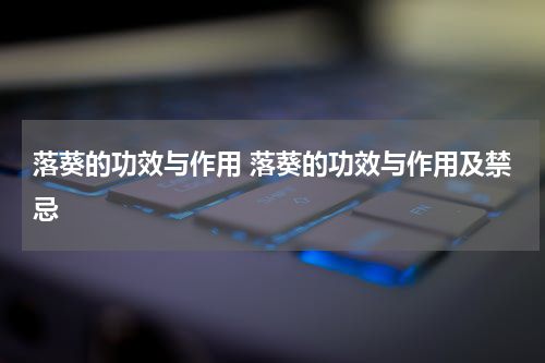 落葵的功效与作用 落葵的功效与作用及禁忌