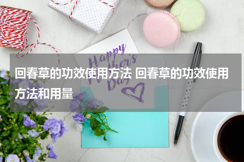 回春草的功效使用方法 回春草的功效使用方法和用量