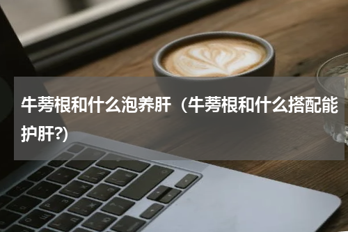 牛蒡根和什么泡养肝（牛蒡根和什么搭配能护肝?）