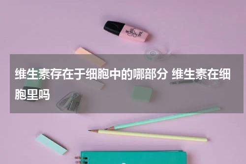 维生素存在于细胞中的哪部分 维生素在细胞里吗