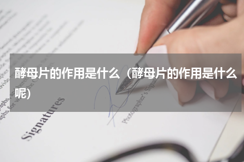 酵母片的作用是什么（酵母片的作用是什么呢）