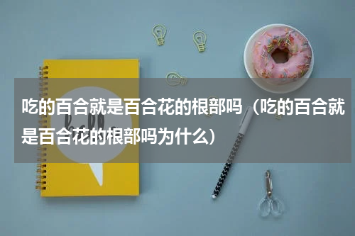 吃的百合就是百合花的根部吗（吃的百合就是百合花的根部吗为什么）