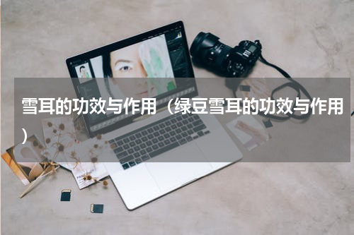 雪耳的功效与作用（绿豆雪耳的功效与作用）