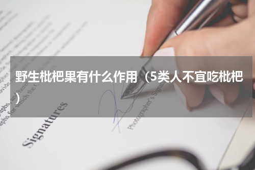 野生枇杷果有什么作用（5类人不宜吃枇杷）