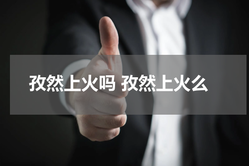 孜然上火吗 孜然上火么
