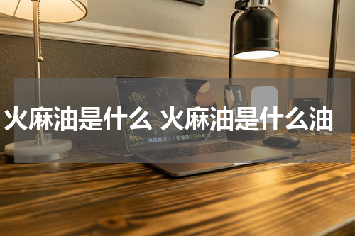 火麻油是什么 火麻油是什么油