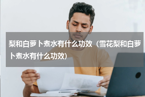 梨和白萝卜煮水有什么功效（雪花梨和白萝卜煮水有什么功效）