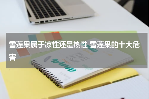 雪莲果属于凉性还是热性 雪莲果的十大危害