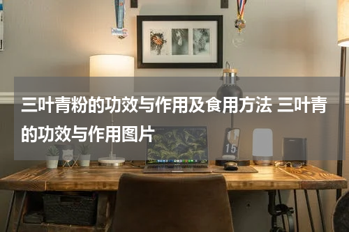 三叶青粉的功效与作用及食用方法 三叶青的功效与作用图片