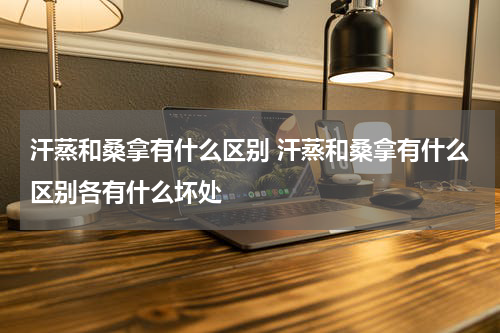 汗蒸和桑拿有什么区别 汗蒸和桑拿有什么区别各有什么坏处