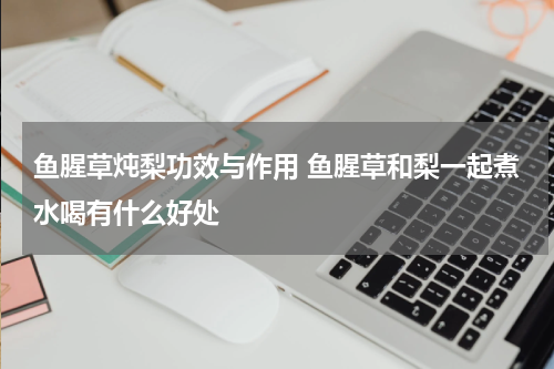 鱼腥草炖梨功效与作用 鱼腥草和梨一起煮水喝有什么好处