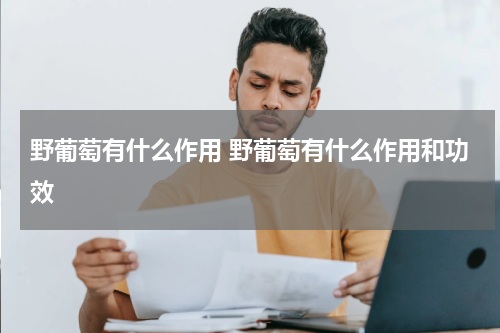 野葡萄有什么作用 野葡萄有什么作用和功效