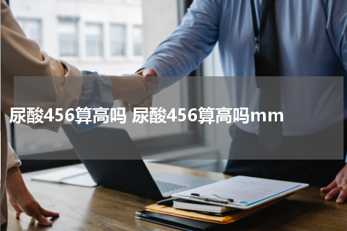 尿酸456算高吗 尿酸456算高吗mm