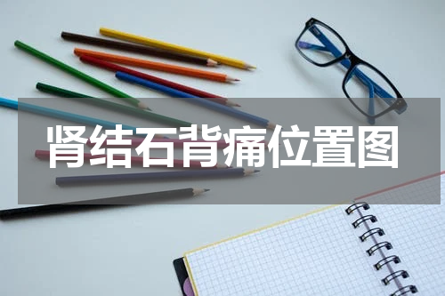 肾结石背痛位置图