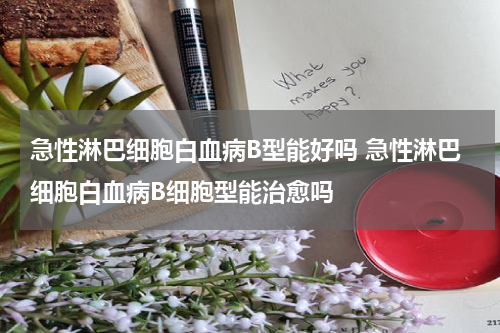 急性淋巴细胞白血病B型能好吗 急性淋巴细胞白血病B细胞型能治愈吗