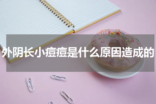 外阴长小痘痘是什么原因造成的