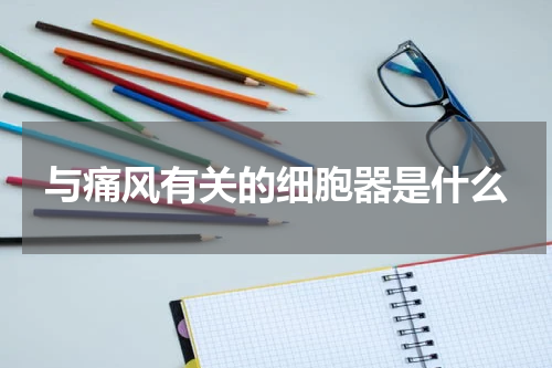 与痛风有关的细胞器是什么