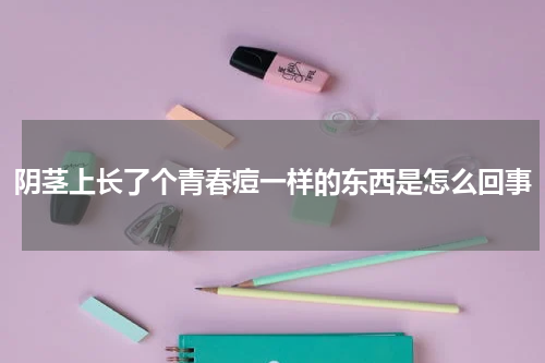 阴茎上长了个青春痘一样的东西是怎么回事