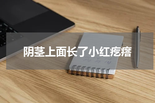 阴茎上面长了小红疙瘩