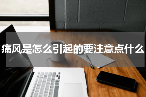 痛风是怎么引起的要注意点什么