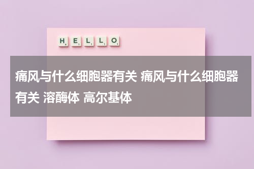痛风与什么细胞器有关 痛风与什么细胞器有关 溶酶体 高尔基体