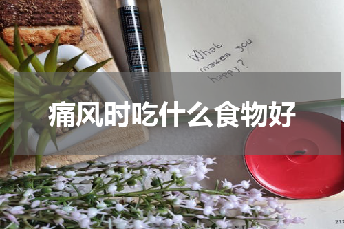 痛风时吃什么食物好