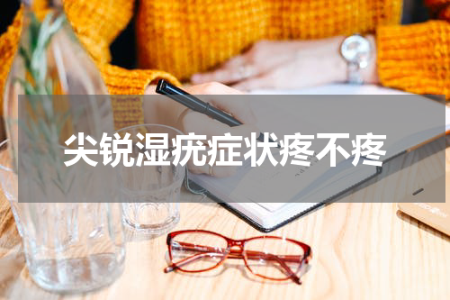 尖锐湿疣症状疼不疼
