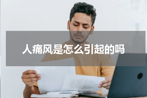 人痛风是怎么引起的吗