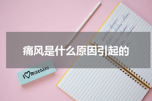 痛风是什么原因引起的