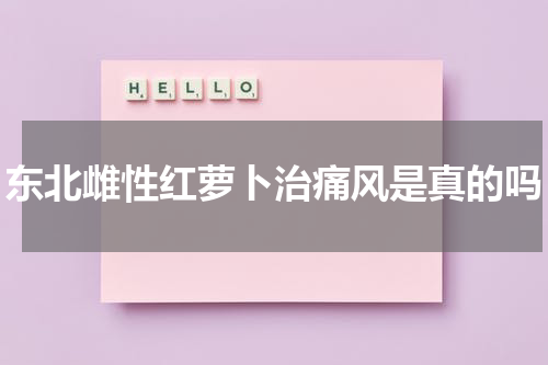 东北雌性红萝卜治痛风是真的吗