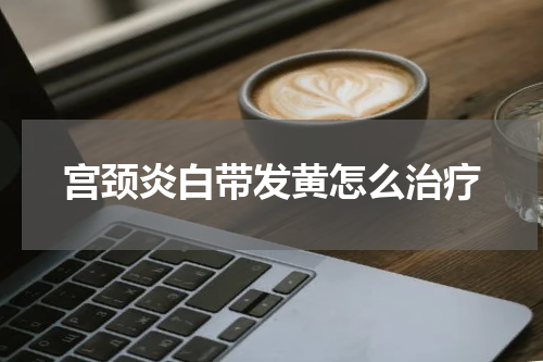 宫颈炎白带发黄怎么治疗