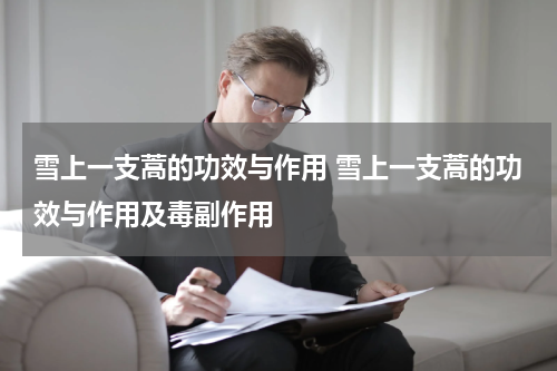 雪上一支蒿的功效与作用 雪上一支蒿的功效与作用及毒副作用
