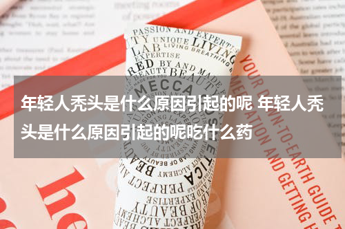 年轻人秃头是什么原因引起的呢 年轻人秃头是什么原因引起的呢吃什么药
