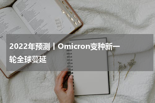 2022年预测丨Omicron变种新一轮全球蔓延