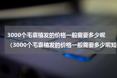 3000个毛囊植发的价格一般需要多少呢（3000个毛囊植发的价格一般需要多少呢知乎）