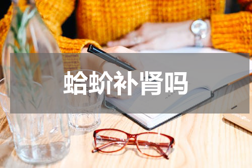 蛤蚧补肾吗