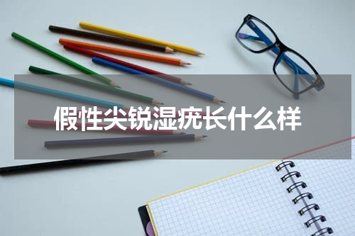 假性尖锐湿疣长什么样