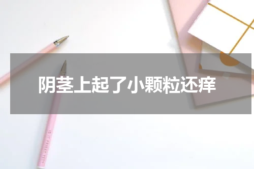 阴茎上起了小颗粒还痒