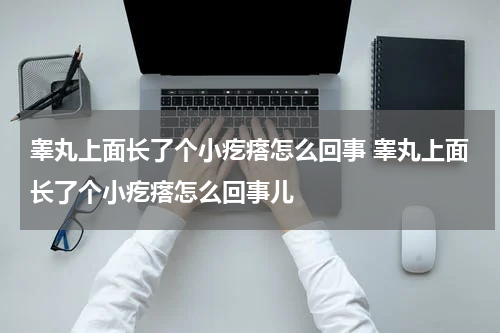 睾丸上面长了个小疙瘩怎么回事 睾丸上面长了个小疙瘩怎么回事儿