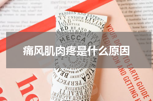 痛风肌肉疼是什么原因