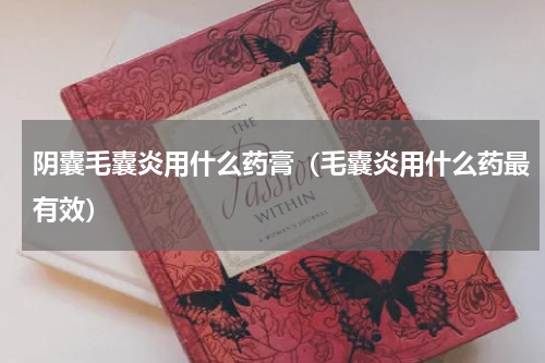 阴囊毛囊炎用什么药膏（毛囊炎用什么药最有效）