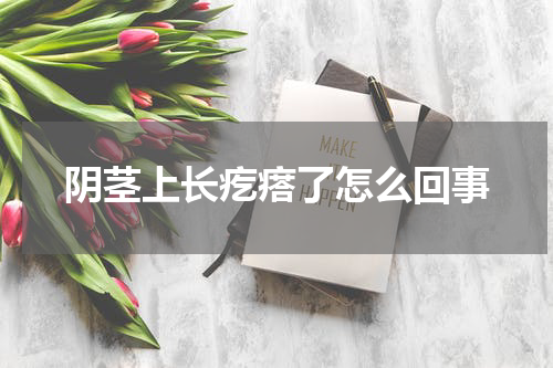阴茎上长疙瘩了怎么回事
