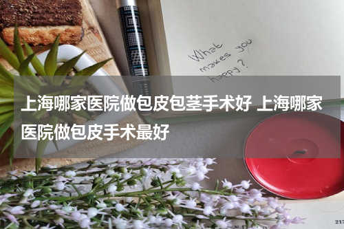 上海哪家医院做包皮包茎手术好 上海哪家医院做包皮手术最好