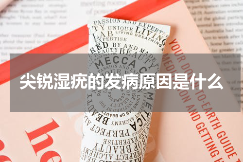 尖锐湿疣的发病原因是什么