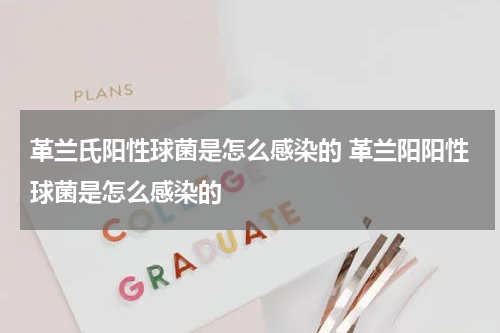 革兰氏阳性球菌是怎么感染的 革兰阳阳性球菌是怎么感染的