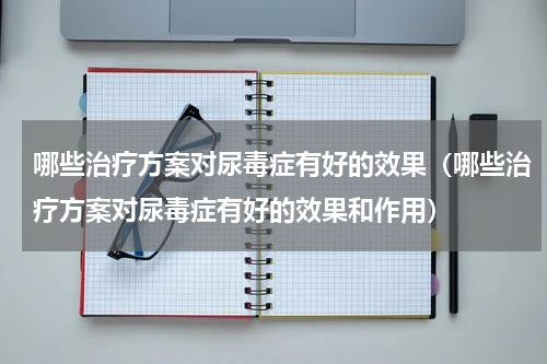 哪些治疗方案对尿毒症有好的效果（哪些治疗方案对尿毒症有好的效果和作用）