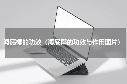 海底椰的功效（海底椰的功效与作用图片）